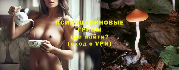 spice Алзамай